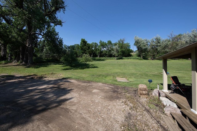 37437 State Highway 7, Big Stone Twp, MN 56278 - view of green lawn
