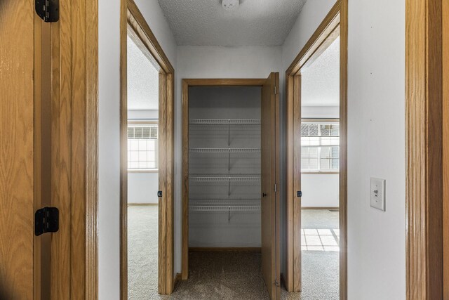 89 Bridgewater Trl, Hudson, WI 54016 - photo 23