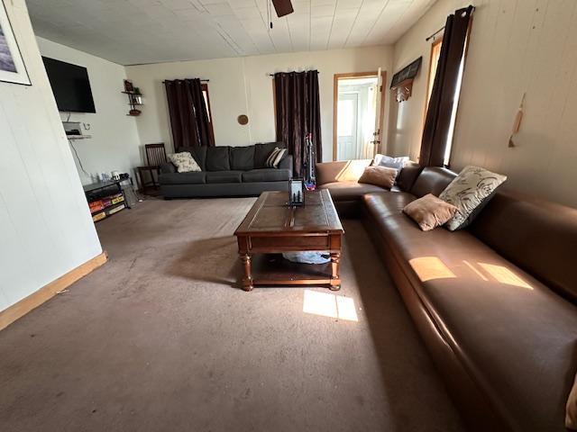 840 Chapman St, Ely, MN 55731 - photo 5