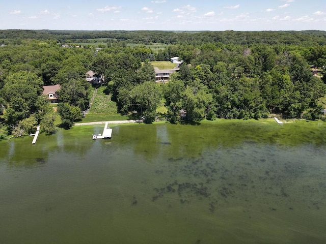 14780 Shields Lake Trl, Faribault, MN 55021 - photo 8