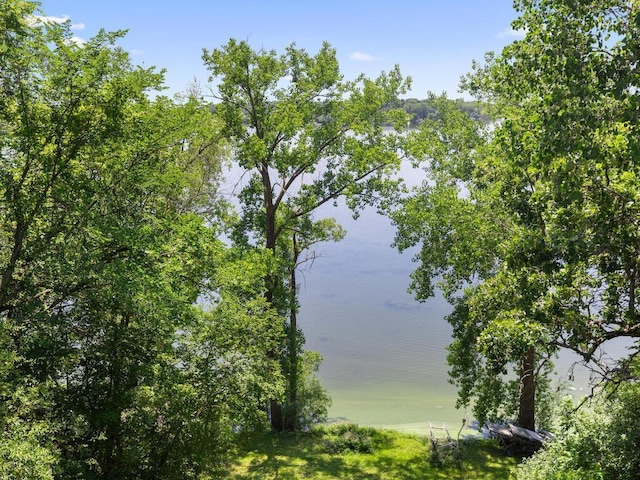 14780 Shields Lake Trl, Faribault, MN 55021 - photo 34