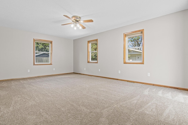 843 84th Ave NE, Spring Lake Park, MN 55432 - photo 29