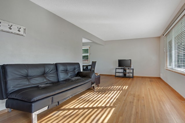 3237 Jerry Ct, White Bear Lake, MN 55110 - living area featuring light wood-style flooring and plenty of natural light
