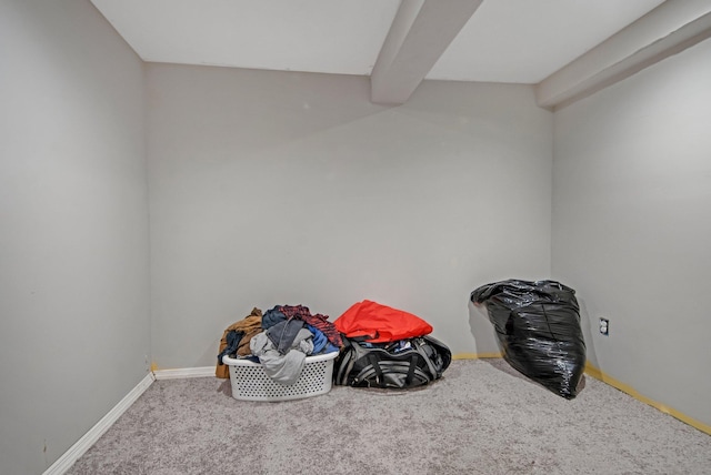 3237 Jerry Ct, White Bear Lake, MN 55110 - view of storage area