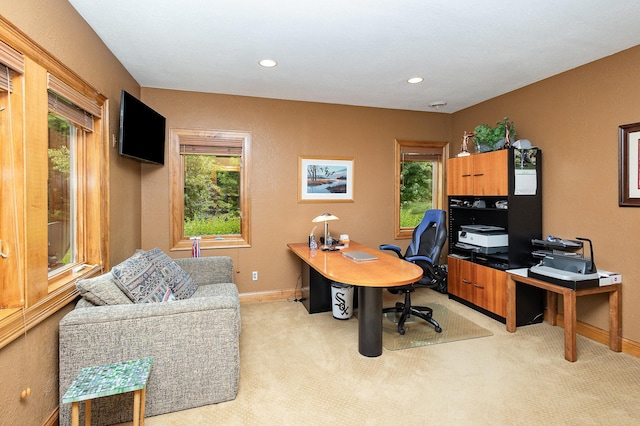 2605 Thoroughbred Ln, Orono, MN 55356 - photo 43