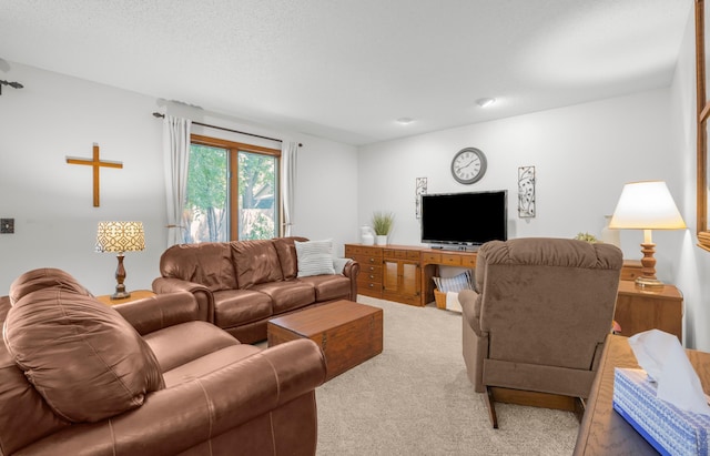 12145 Jonquil St NW, Coon Rapids, MN 55433 - view of carpeted living room