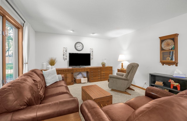 12145 Jonquil St NW, Coon Rapids, MN 55433 - carpeted living area featuring baseboards