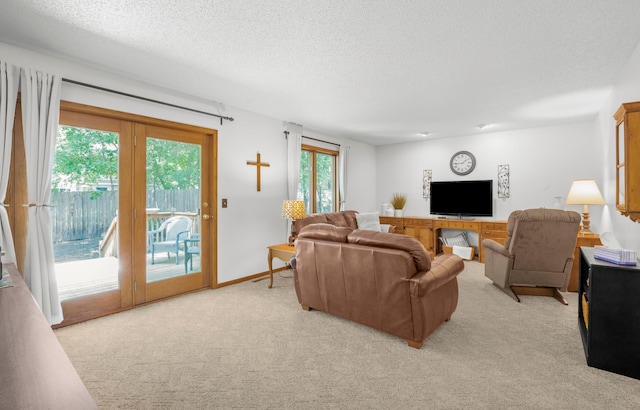 12145 Jonquil St NW, Coon Rapids, MN 55433 - living area with light carpet and a textured ceiling