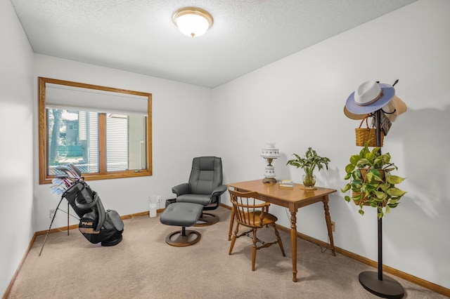 12145 Jonquil St NW, Coon Rapids, MN 55433 - living area with carpet flooring and a textured ceiling