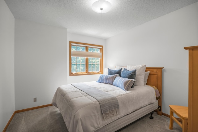 12145 Jonquil St NW, Coon Rapids, MN 55433 - bedroom featuring carpet floors and a textured ceiling