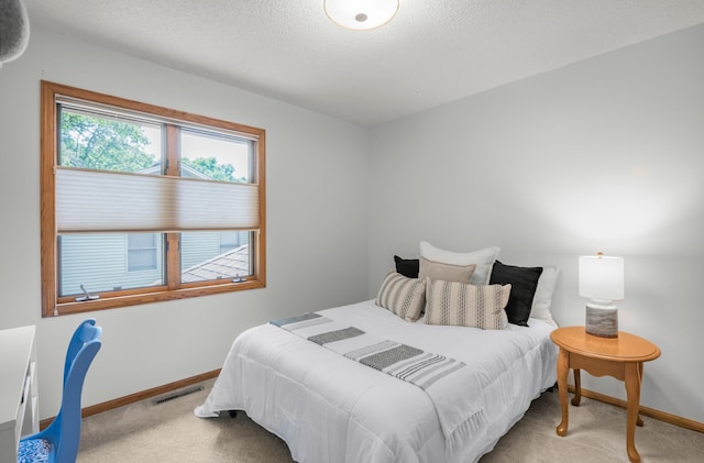 12145 Jonquil St NW, Coon Rapids, MN 55433 - carpeted bedroom with baseboards and a textured ceiling