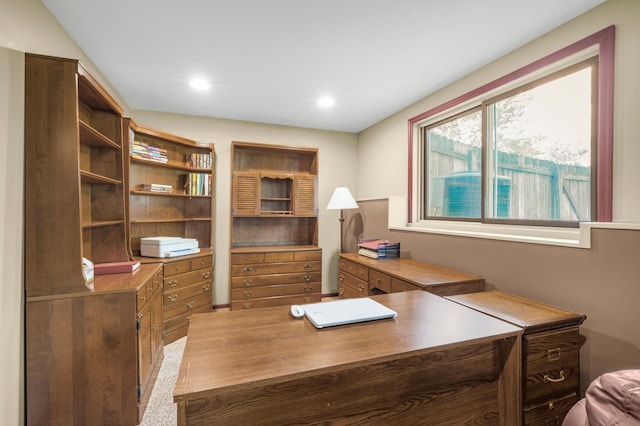 12145 Jonquil St NW, Coon Rapids, MN 55433 - office space featuring recessed lighting and carpet