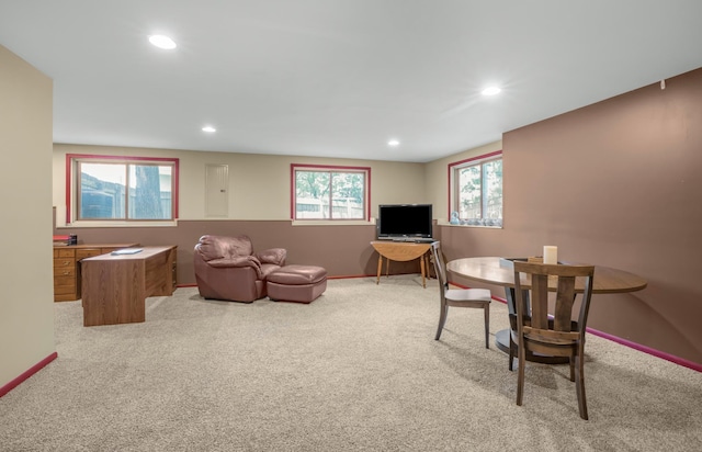 12145 Jonquil St NW, Coon Rapids, MN 55433 - living area with light colored carpet and recessed lighting