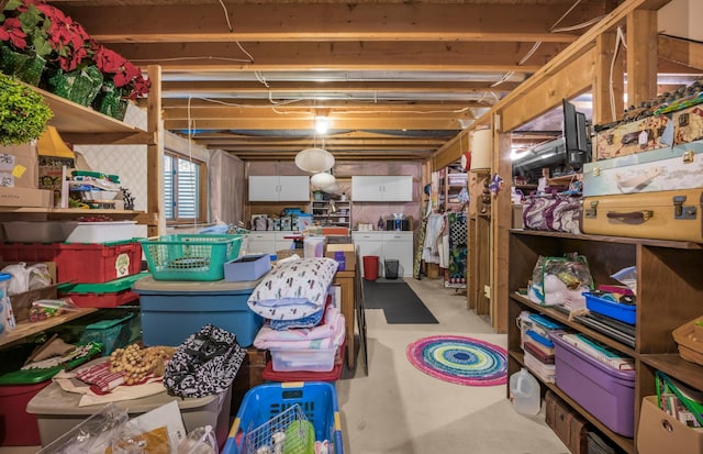 12145 Jonquil St NW, Coon Rapids, MN 55433 - view of storage area