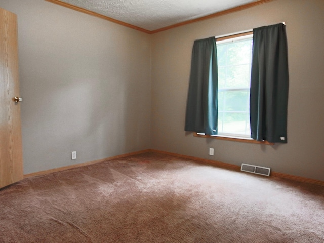 23829 Bulrush Dr, Lake Edward Twp, MN 56465 - carpeted empty room featuring plenty of natural light, ornamental molding, and a textured ceiling