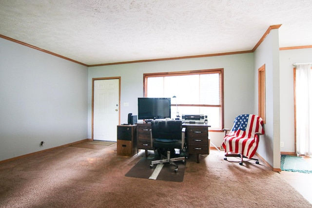 23829 Bulrush Dr, Lake Edward Twp, MN 56465 - carpeted office featuring ornamental molding, plenty of natural light, and a textured ceiling