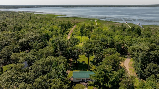 23829 Bulrush Dr, Lake Edward Twp, MN 56465 - aerial view of property's location featuring a nearby body of water and a forest