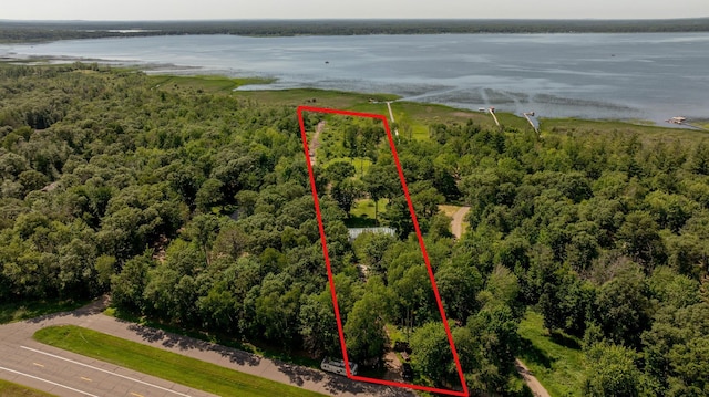 23829 Bulrush Dr, Lake Edward Twp, MN 56465 - aerial overview of property's location with a large body of water and property parcel outlined