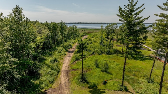 23829 Bulrush Dr, Lake Edward Twp, MN 56465 - aerial view of a nearby body of water