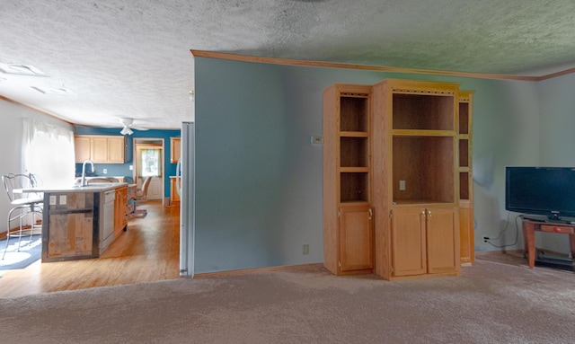 23829 Bulrush Dr, Lake Edward Twp, MN 56465 - photo 9