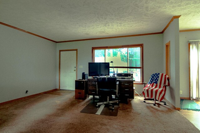 23829 Bulrush Dr, Lake Edward Twp, MN 56465 - photo 15