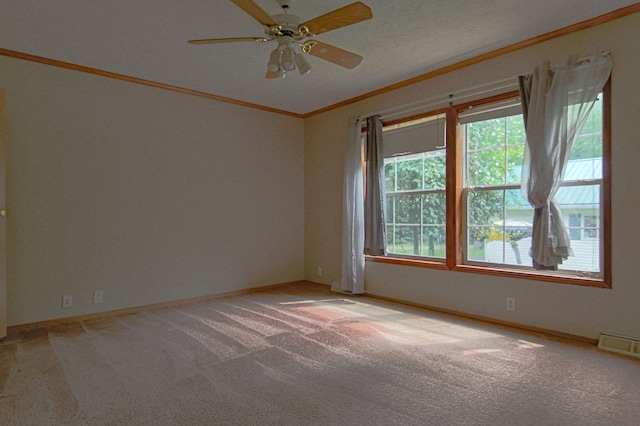 23829 Bulrush Dr, Lake Edward Twp, MN 56465 - photo 16
