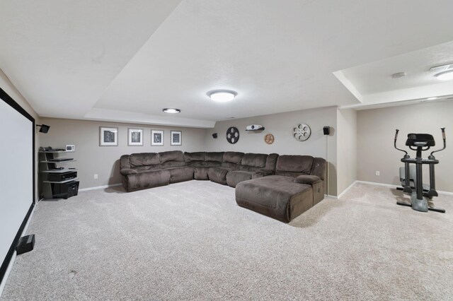 1110 Lecuyer Dr, Stillwater, MN 55082 - living area with carpet and a raised ceiling