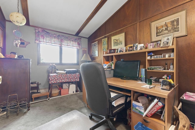 674 Greer Ave NW, Maple Lake, MN 55358 - office space featuring carpet and lofted ceiling