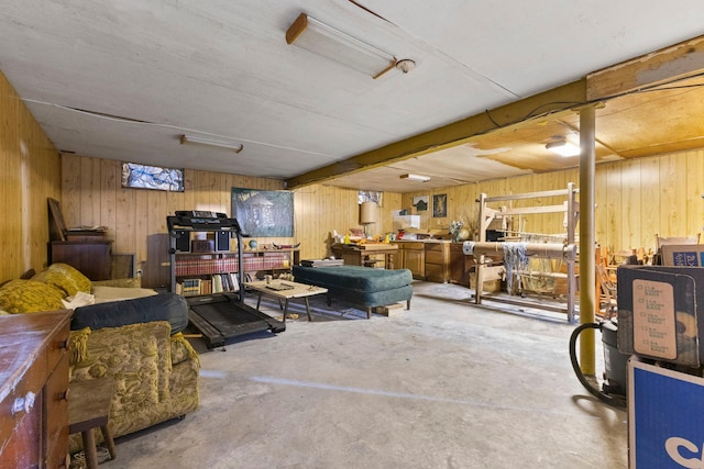 674 Greer Ave NW, Maple Lake, MN 55358 - basement featuring wooden walls