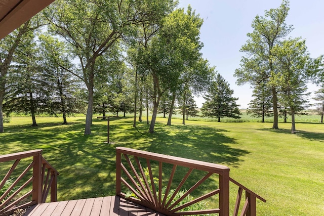 31289 270th Ave, Stony Brook Twp, MN 56590 - photo 8