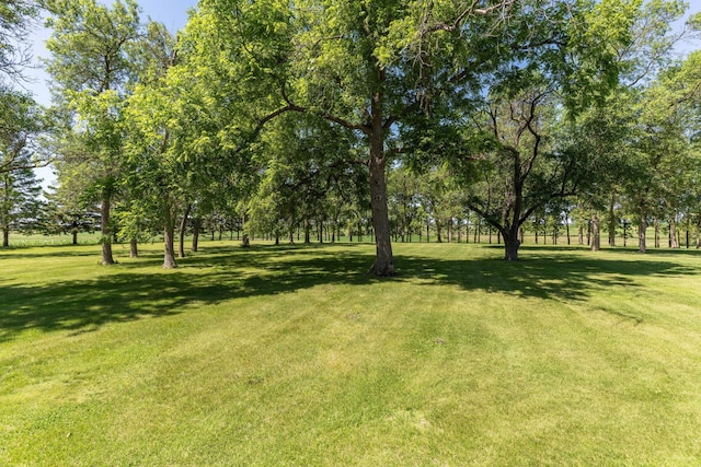 31289 270th Ave, Stony Brook Twp, MN 56590 - photo 9