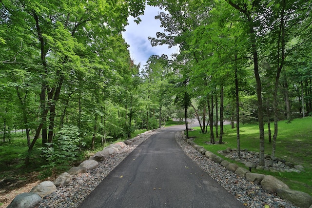 2471 Birch Forest Rd SW, Nisswa, MN 56468 - view of street with a forest view