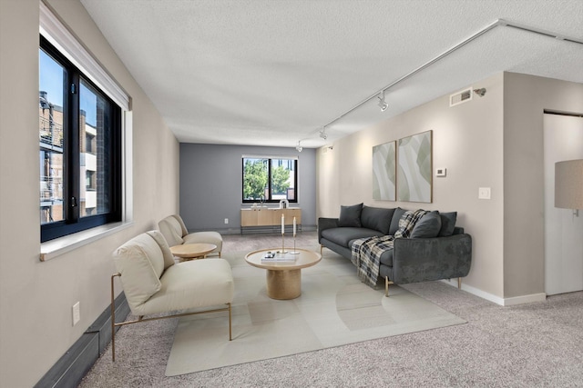 48 Groveland Ter Unit B301, Minneapolis, MN 55403 - carpeted living area featuring track lighting and a textured ceiling
