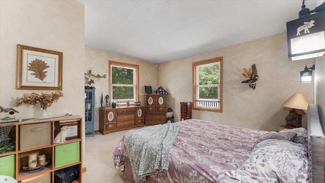 21007 Edgewater Rd, Richmond, MN 56368 - photo 10