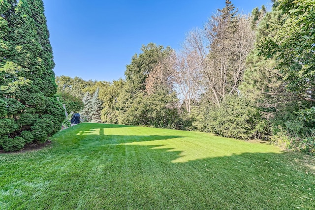 521 Weston Hills Ct, Eagan, MN 55123 - photo 24