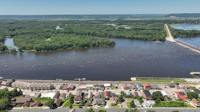 106 2nd St, Alma, WI 54610 - photo 39