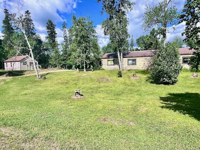8931 Palm Rd, Britt, MN 55710 - view of green lawn
