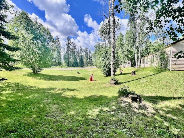 8931 Palm Rd, Britt, MN 55710 - view of green lawn