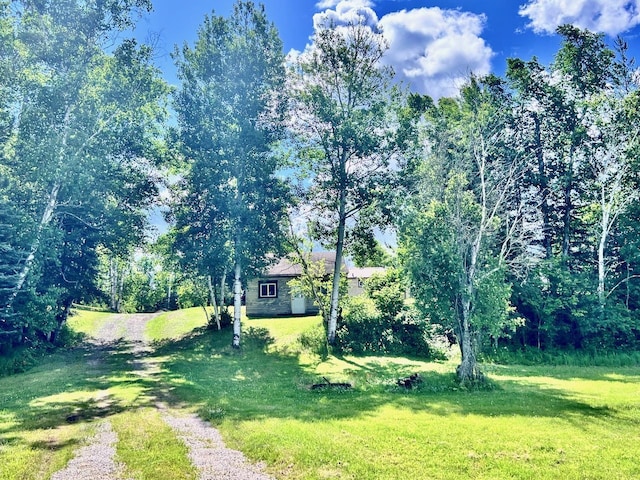 8931 Palm Rd, Britt, MN 55710 - view of grassy yard
