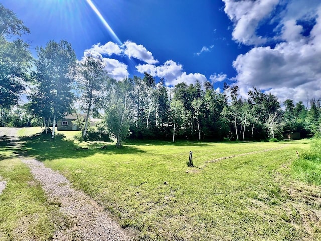 8931 Palm Rd, Britt, MN 55710 - view of green lawn