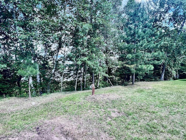 8931 Palm Rd, Britt, MN 55710 - view of grassy yard