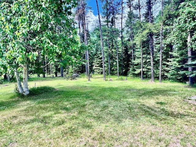 8931 Palm Rd, Britt, MN 55710 - view of grassy yard