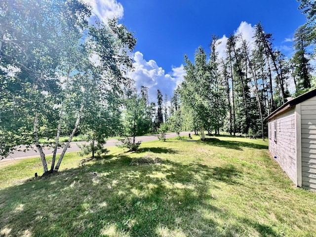 8931 Palm Rd, Britt, MN 55710 - view of grassy yard