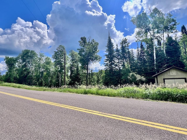 8931 Palm Rd, Britt, MN 55710 - view of asphalt street