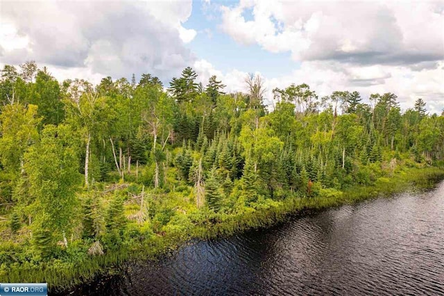 TBD Koski Rd, Tower, MN 55790 - photo 2