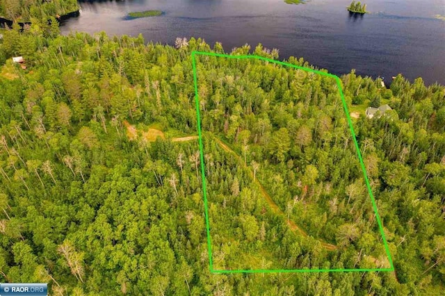 TBD Koski Rd, Tower, MN 55790 - photo 3