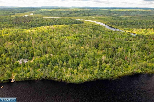 TBD Koski Rd, Tower, MN 55790 - photo 4