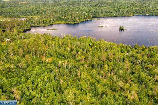 TBD Koski Rd, Tower, MN 55790 - photo 8