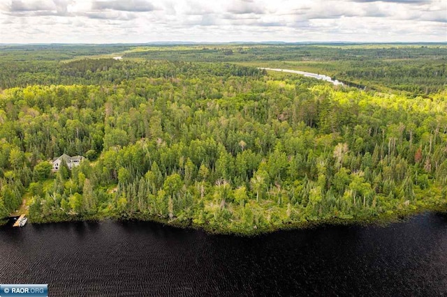 TBD Koski Rd, Tower, MN 55790 - photo 9