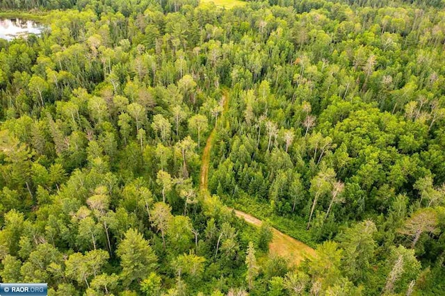TBD Koski Rd, Tower, MN 55790 - photo 11